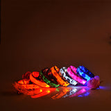 Safety Pet Collar With LED And Printed Design By Project Pet Lovers Club