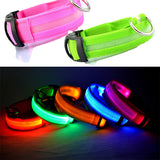 Buy 1 Get 1! - Safety Glowing Dog Collars and Leashes By Pet Lovers Club
