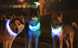 Safety Pet Collar With LED And Printed Design By I Love Dogs Society