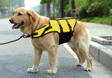 Adventure Life Vest - Standard Edition