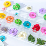 3D Dried Flower Theme | Nail Art Decals