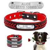 Personalized Embroidered Leather Dog Collar With Custom Name Tags!